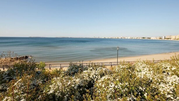 A coastal view with a sandy beach, a clear blue sky, and a distant shoreline with buildings. - Alua Sunny Beach Resort & Spa (Nessebar)