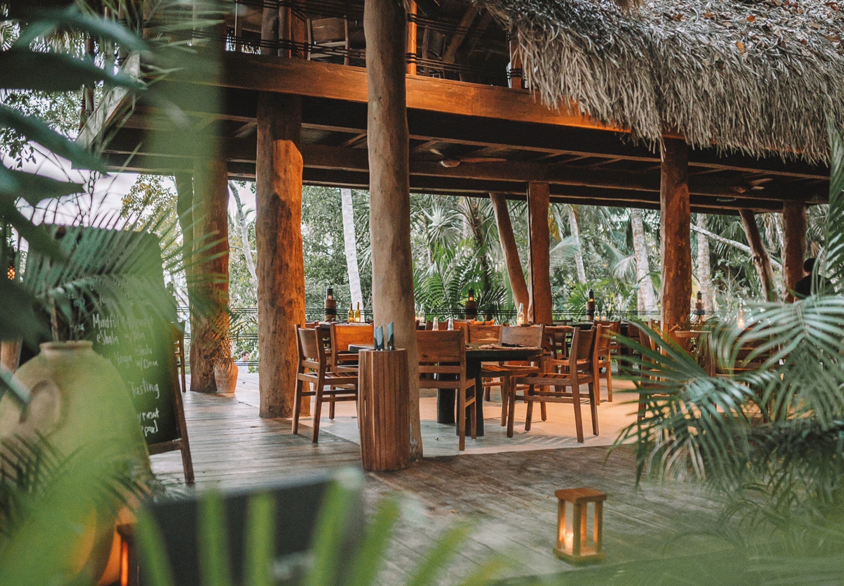 An outdoor dining area with wooden tables and chairs, surrounded by large trees and a thatched roof structure.