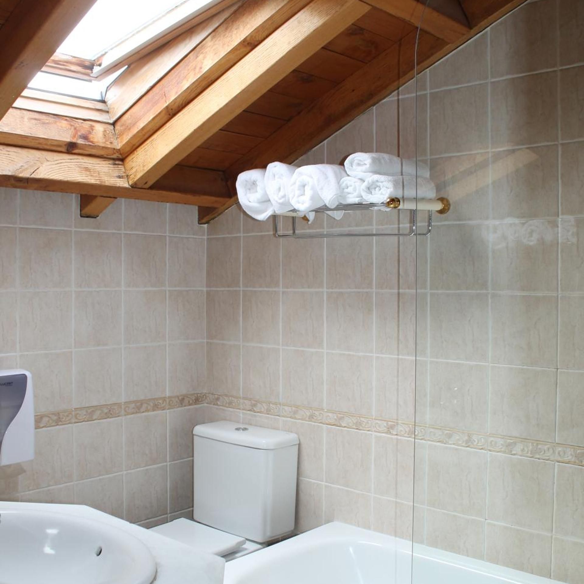 A bathroom with a skylight, a toilet, and a bathtub.