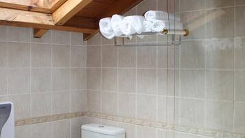 A bathroom with a skylight, a toilet, and a bathtub.