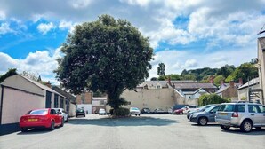 Ein Parkplatz mit mehreren Autos, einem großen Baum und Gebäuden im Hintergrund.