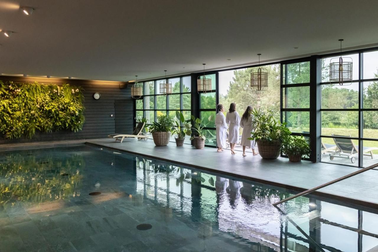 An indoor swimming pool with large windows, potted plants, and a view of greenery outside.