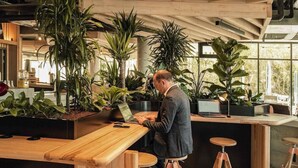 A modern workspace with wooden tables and stools, surrounded by potted plants.