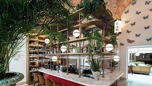 Zona de bar amb un taulell corbat, diverses estanteries plenes de botelles i plantes penjants.