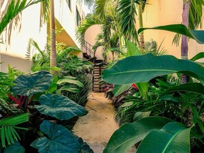 Property grounds - Mayanah Bacalar (Chetumal)