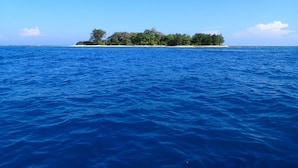 Une île tropicale, couverte d’une végétation luxuriante, bordée par une mer d’un bleu limpide.