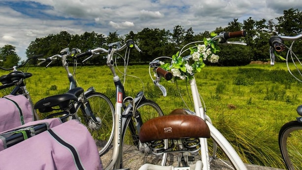 A bicycle with a brown saddle and a flower decoration on the handlebars, parked in a grassy field with trees in the background. - De Dames Van De Jonge Hotel Restaurant (Giethoorn)