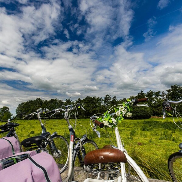 A bicycle with a brown saddle and a flower decoration on the handlebars, parked in a grassy field with trees in the background. - De Dames Van De Jonge Hotel Restaurant (Giethoorn)