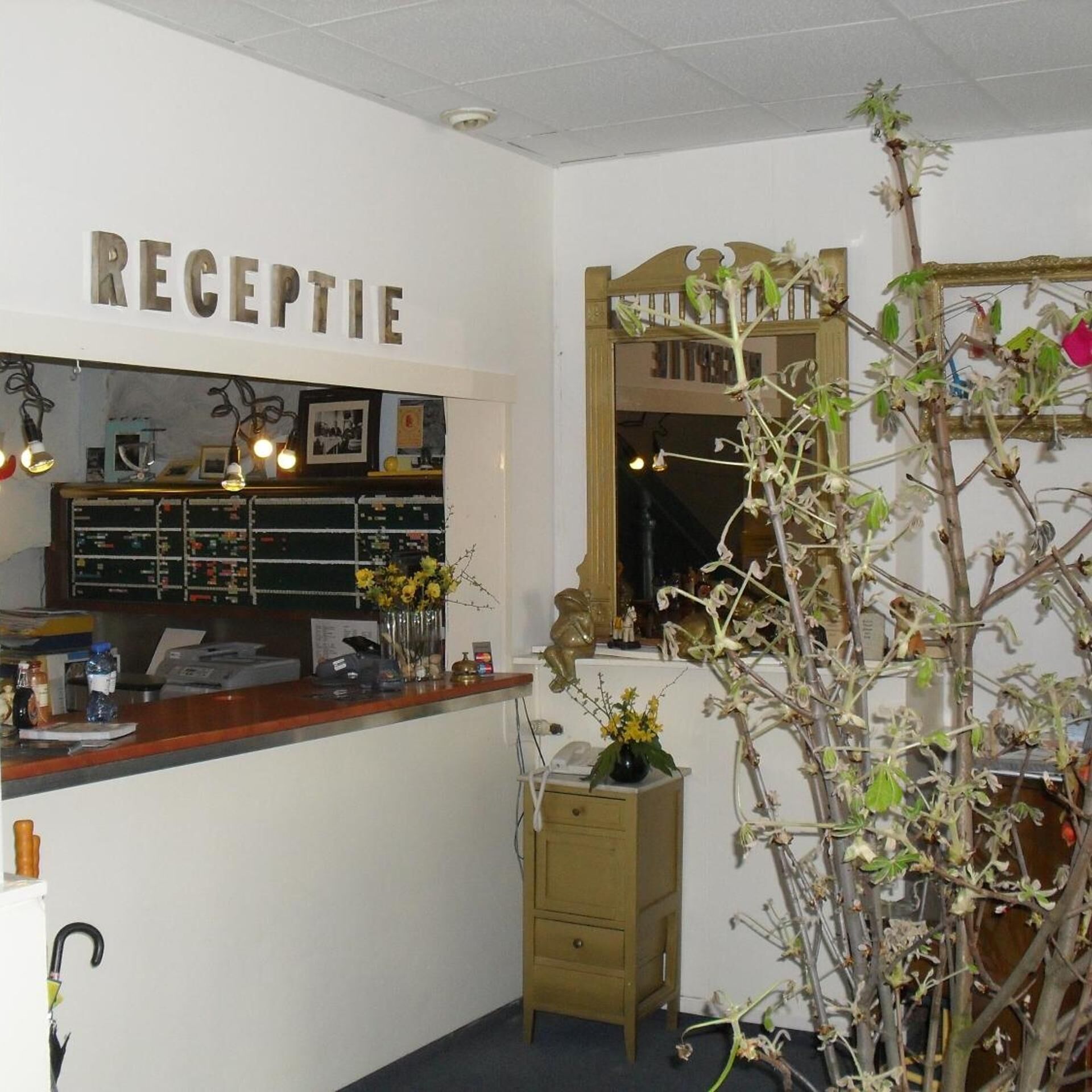 Een receptie met een houten balie, een spiegel, een plant en een bord met de tekst 'RECEPTION'.