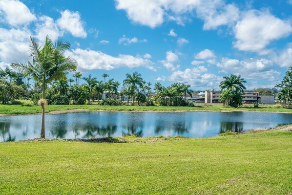 A serene landscape with a pond, palm trees, and buildings in the background.