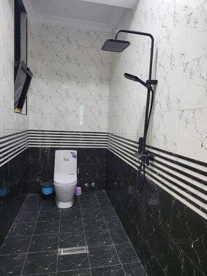 Douche, serviettes fournies, papier de toilette