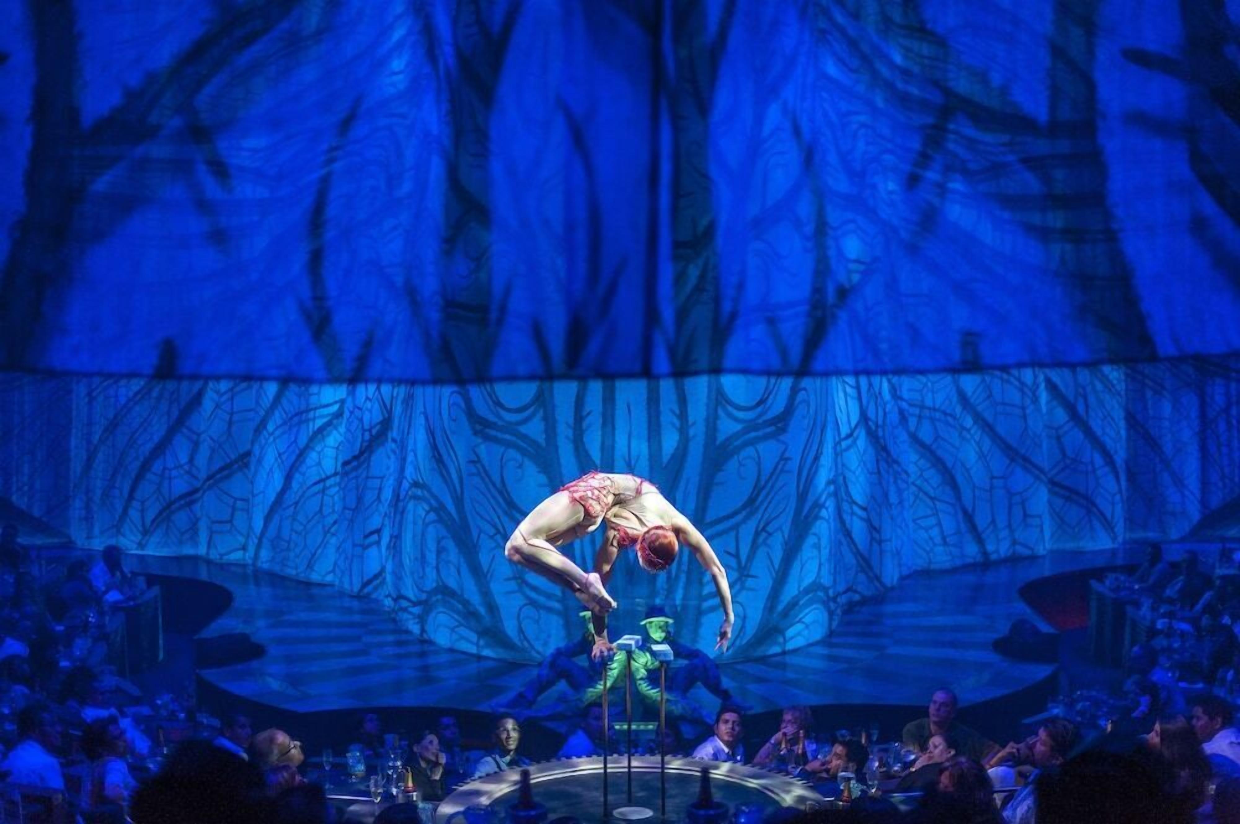 Apresentação de circo com acrobatas no palco, plateia em primeiro plano e um grande painel azul em forma de árvore.