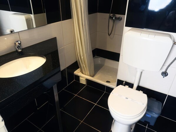 Une salle de bain équipée d’un lavabo, de toilettes, d’une douche et d’un miroir.