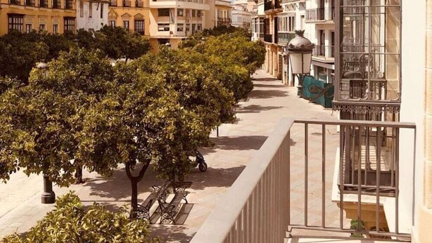 A courtyard with trees, benches, and buildings with balconies. - Palacio de la Corredera (Jerez de la Frontera)