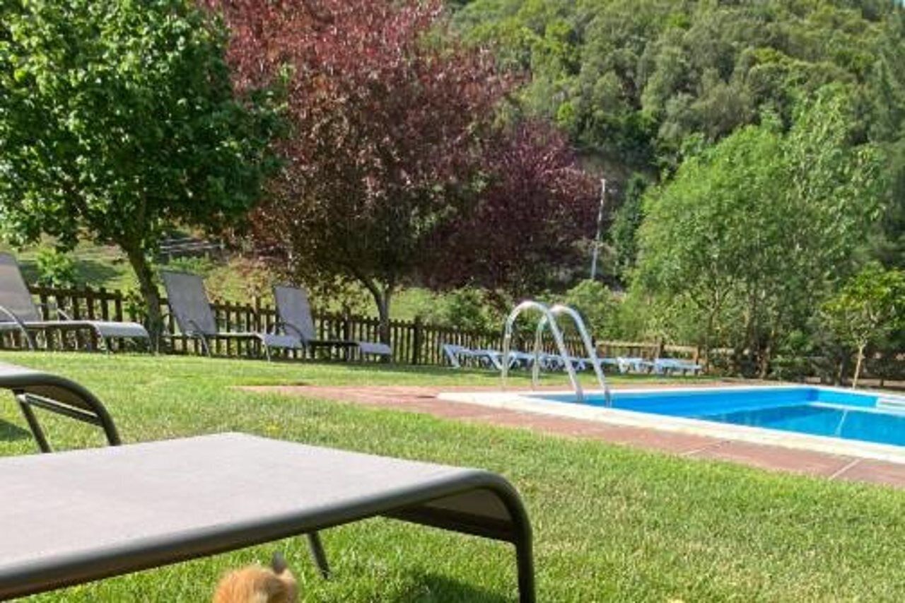 Una piscina al aire libre