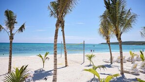 Une plage bordée de palmiers, avec un filet de volley-ball et des chaises longues blanches.