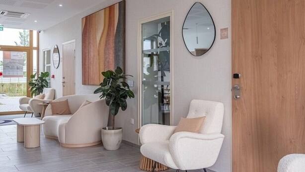 Ein modernes Interieur mit einer Couch, Sesseln, einem Blumentopf und einem Spiegel an der Wand.