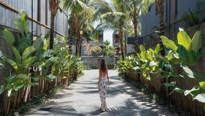 A pathway lined with tropical plants leading to a building with a modern architectural style. - Secana Beachtown (Canggu)