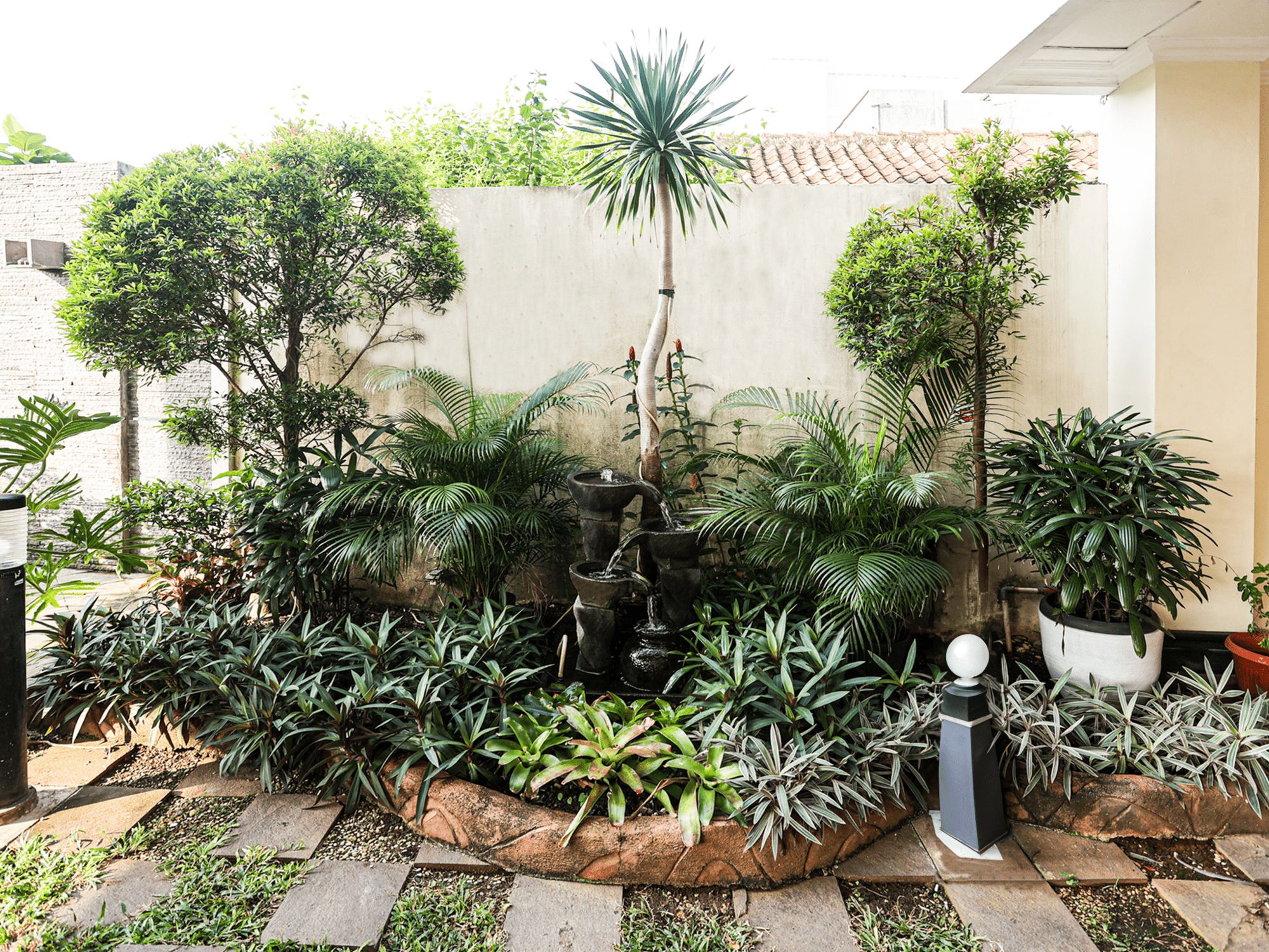 A garden with a variety of plants and a small fountain.