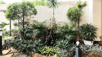 A garden with a variety of plants and a small fountain.