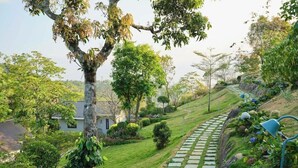 Un sentier de jardin qui mène à une maison entourée d’une végétation luxuriante et d’arbres.