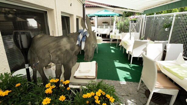 An outdoor patio with a dining area, a statue of a horse, and yellow flowers.
