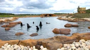 View from property - Hex Wildlife Hotel At Yorkshire Wildlife Park (Doncaster)