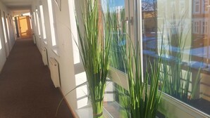 A corridor with large windows, a radiator, and a potted plant. - Hotel & Gastro Adler Gmbh (Itzehoe)