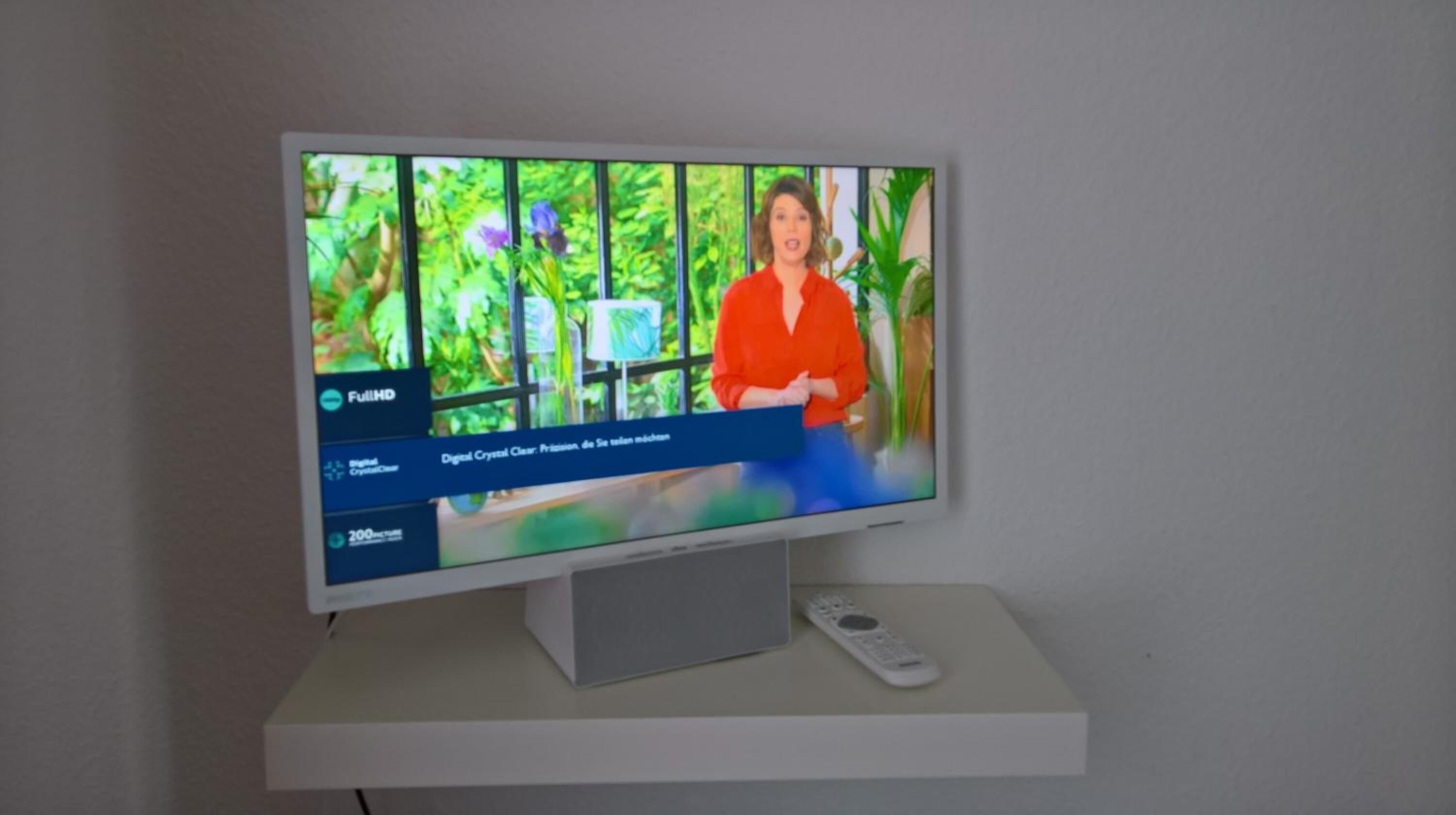 TV