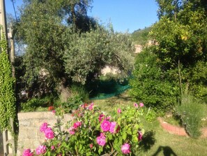 Property grounds - Hotel Les Calanques (Piana)