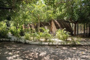 Property grounds - Santuario Beach Hostel (Cartagena)