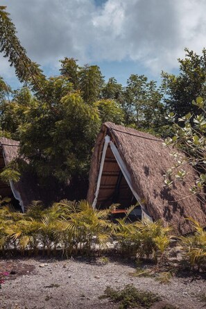 Property grounds - Santuario Beach Hostel (Cartagena)