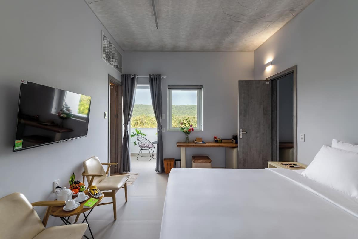 A hotel room with a bed, a desk, a TV, a chair, and a view of the outdoors.