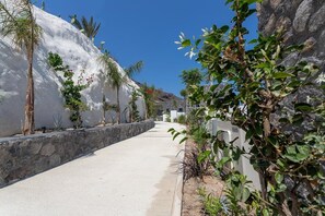 Un sendero estrecho bordeado por muros blancos y vegetación, que conduce hacia un paisaje montañoso.