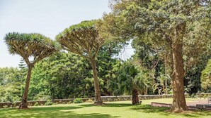 A well-maintained garden with various trees and a grassy lawn. - Solar dos Cantos Botanic House and Garden (Ponta Delgada)