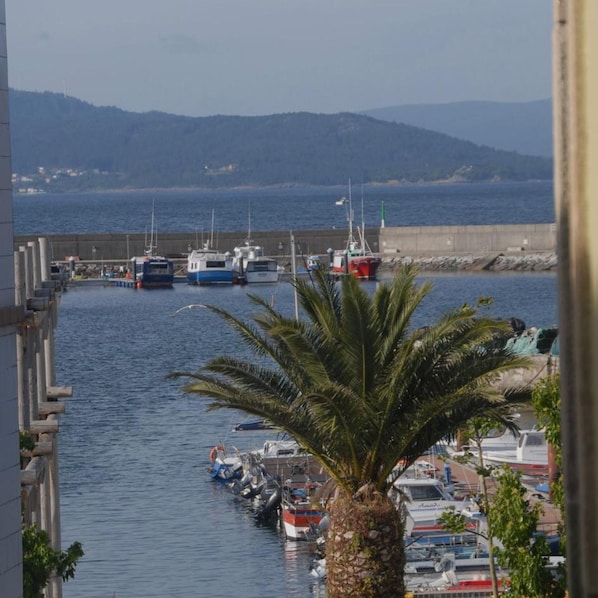 Un puerto deportivo con barcos amarrados, una palmera en primer plano y una vista del mar y las colinas al fondo.