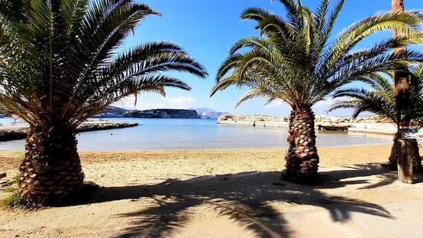 A beach with palm trees and a calm sea. - Family 5BR Villa with sea views, private pool, summer kitchen & spacious garden (Almyrida)