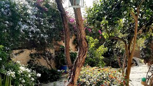 A garden with various plants and flowers, a tree with a birdhouse, and a stone structure. - Family 5BR Villa with sea views, private pool, summer kitchen & spacious garden (Almyrida)
