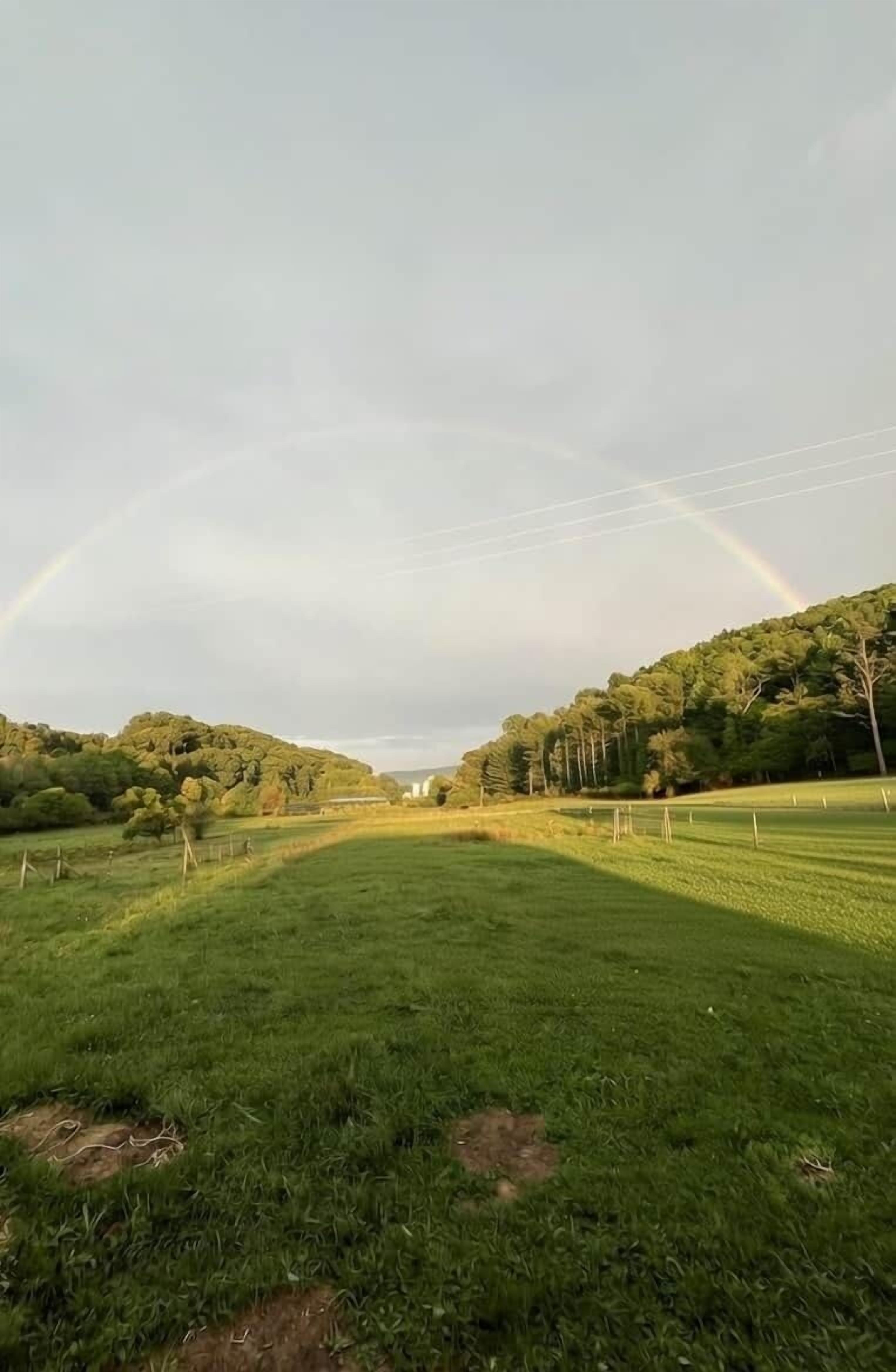 Un champ verdoyant avec un arc-en-ciel, des arbres et une clôture.