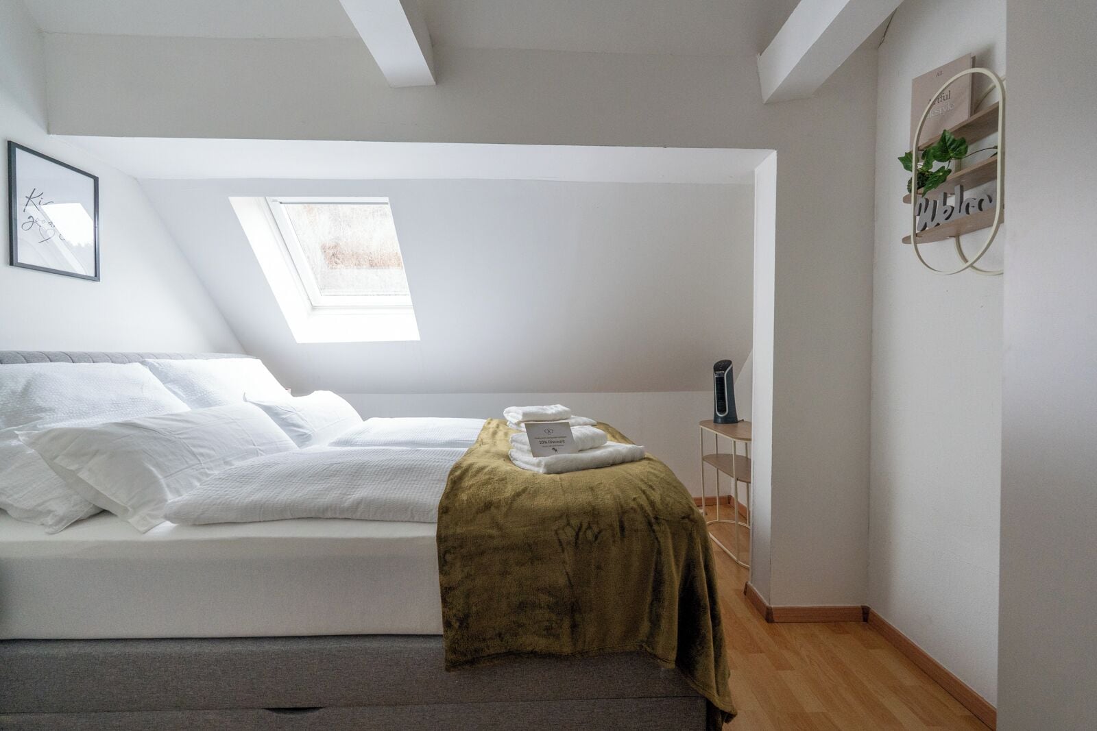 A bedroom with a bed, a skylight, a bedside table with a plant, and a wall-mounted shelf.