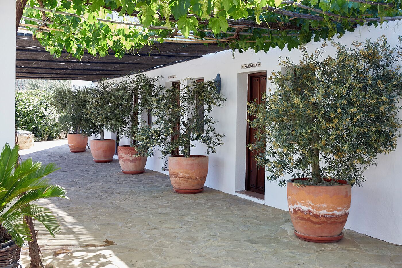 المنطقة المحيطة بالمنشأة