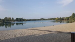 A calm lake with a sandy beach and a row of trees in the background.