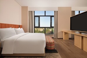 Une chambre d’hôtel avec un grand lit, une télévision, un banc et une vue sur l’extérieur.