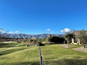 Property grounds - Stunning views in quiet location, luggate. 10 mins out of Wanaka. (Luggate)