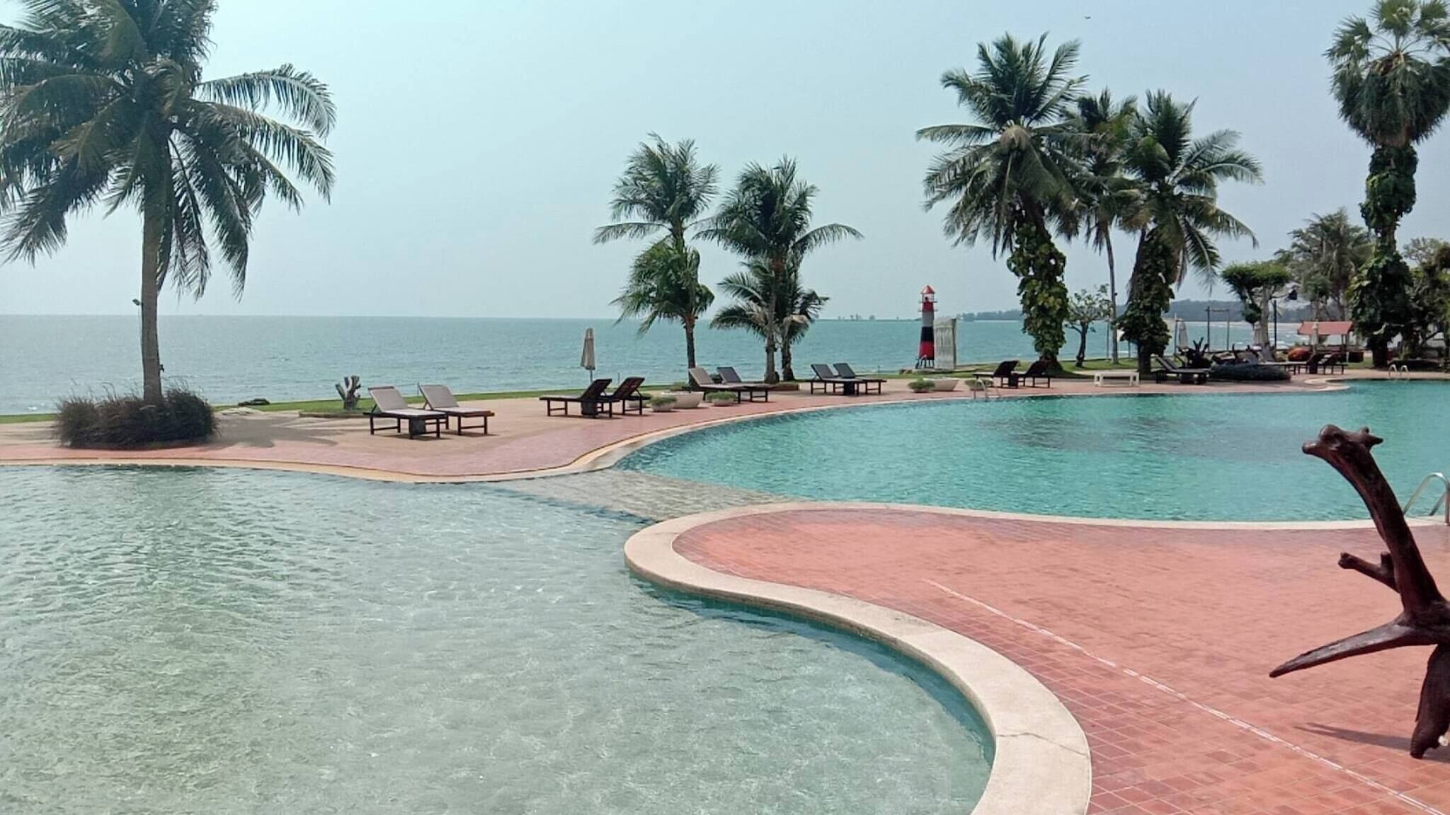 A pool with a curved edge, surrounded by lounge chairs and palm trees, with a view of the sea in the background.