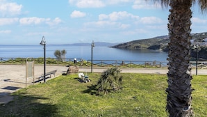 Un parco costiero con una panchina, un lampione e una palma.