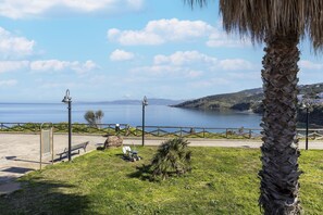 Property grounds - Apartment with sea view and terrace (Castelsardo)