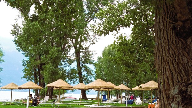 A park with thatched umbrellas and lounge chairs, surrounded by tall trees and a body of water in the background. - Belmonte Holiday Apartment (Brezzo di Bedero)