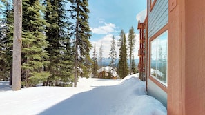 A snow-covered pathway leading to a cabin surrounded by tall evergreen trees. - Okanagan - Snowbanks 3 (Beaverdell)