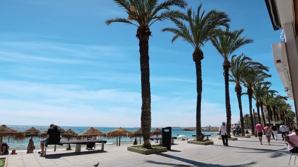 Un paseo marítimo con palmeras, bancos y sombrillas de paja a la orilla del mar.